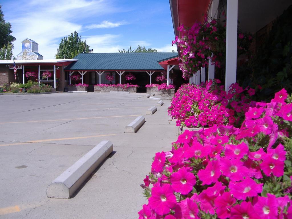 Greybull Motel Exterior foto